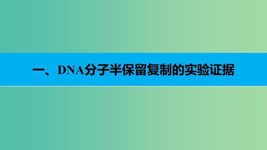 高中生物 4.2 DNA分子的复制（第2课时）课件 苏教版必修2.ppt_第5页