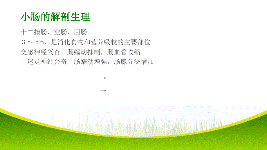 肠梗阻病人的护理ppt_第4页