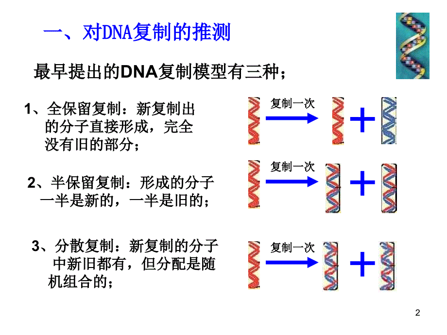 生物：3.3《DNA的复制》课件-上课用_第2页