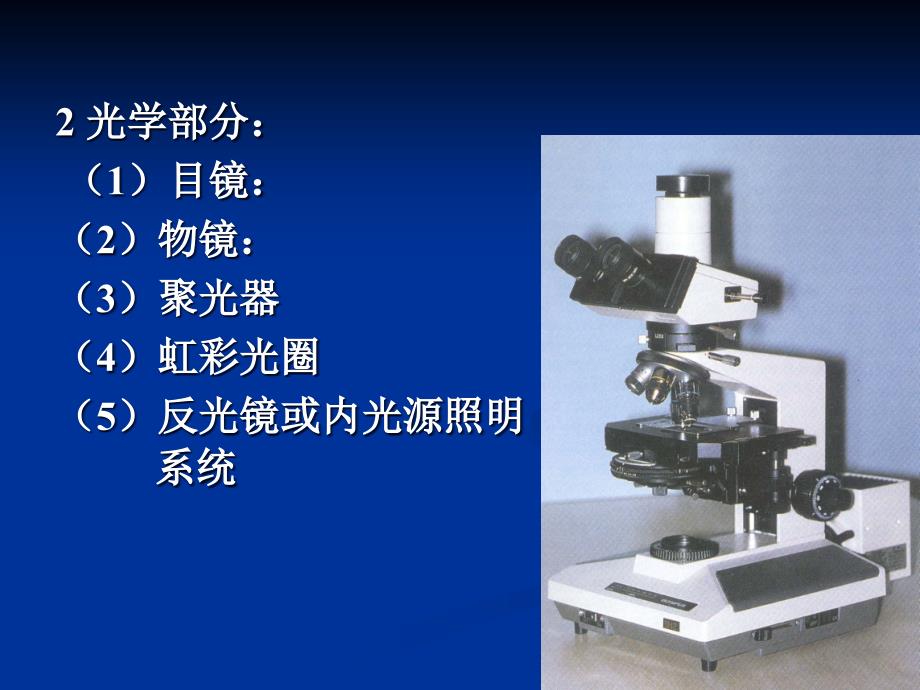 实验一光学显微镜的构造使用和临时装片制作_第4页