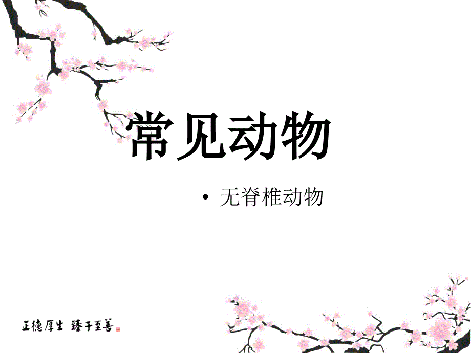 浙教版七年级科学上册课件2.4常见的动物1_第1页