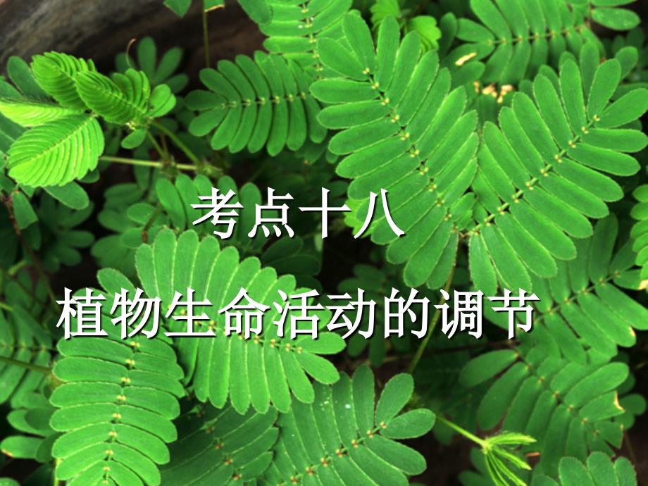 高中物理提高植物生命活动的调节课件人教版必修2_第1页