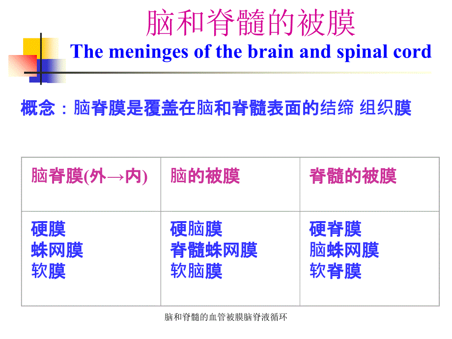 脑和脊髓的血管被膜脑脊液循环课件_第2页