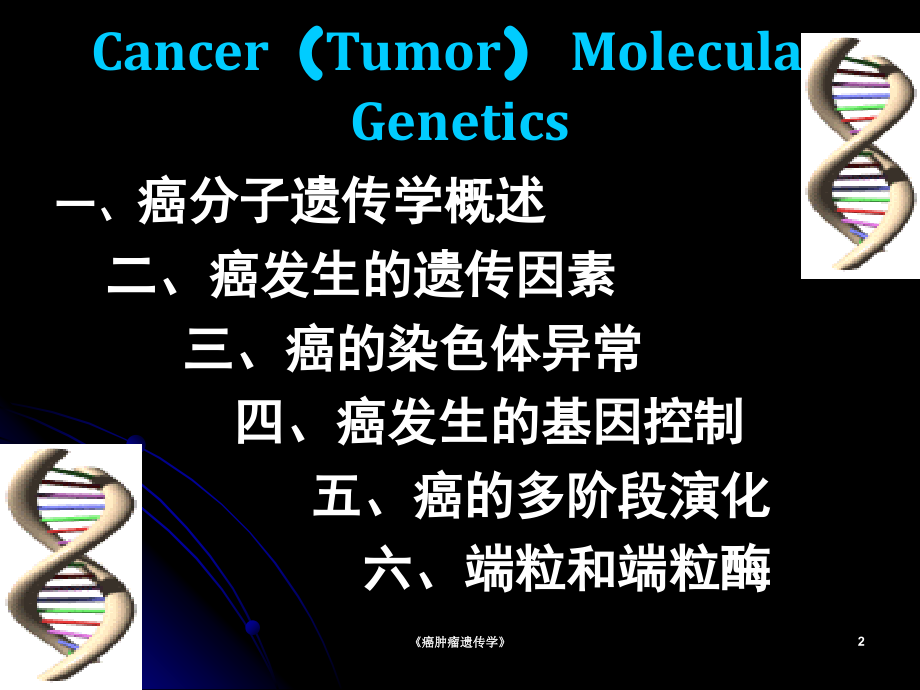 《癌肿瘤遗传学》课件_第2页