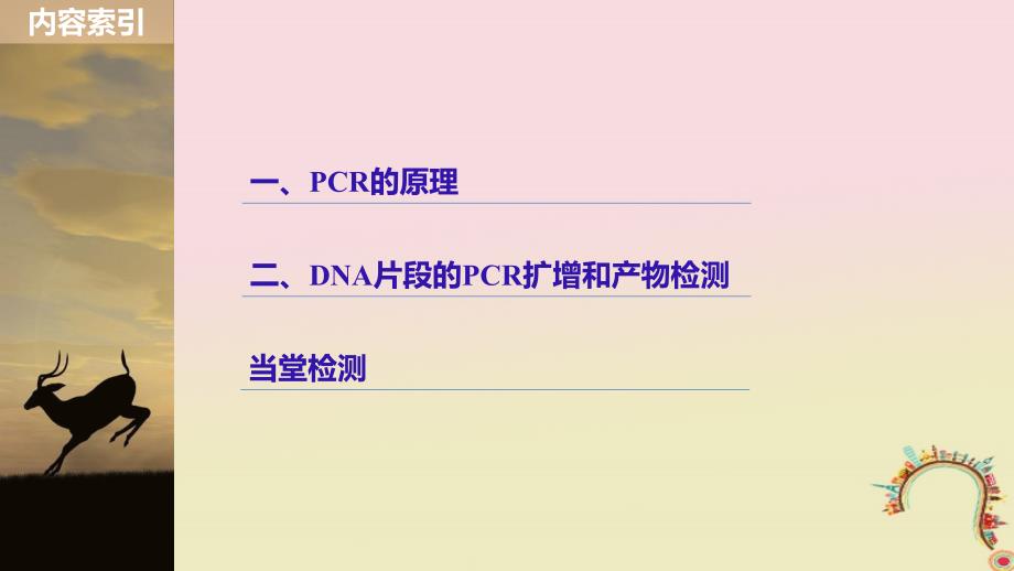 生物 第4章 现代生物技术 第15课时 聚合酶链式反应技术同步备课 北师大版选修1_第3页