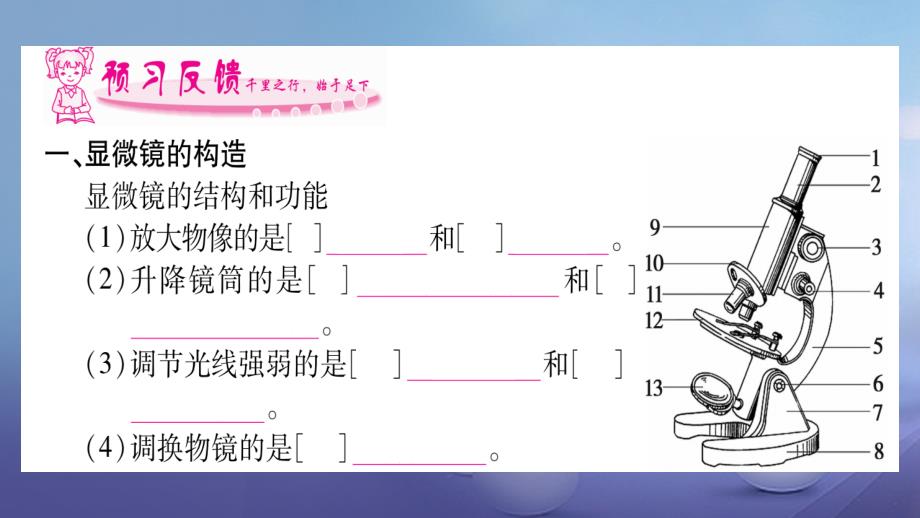 2023年秋七年级生物上册 第2单元 生物体的结构层次课件 （新版）新人教版_第3页