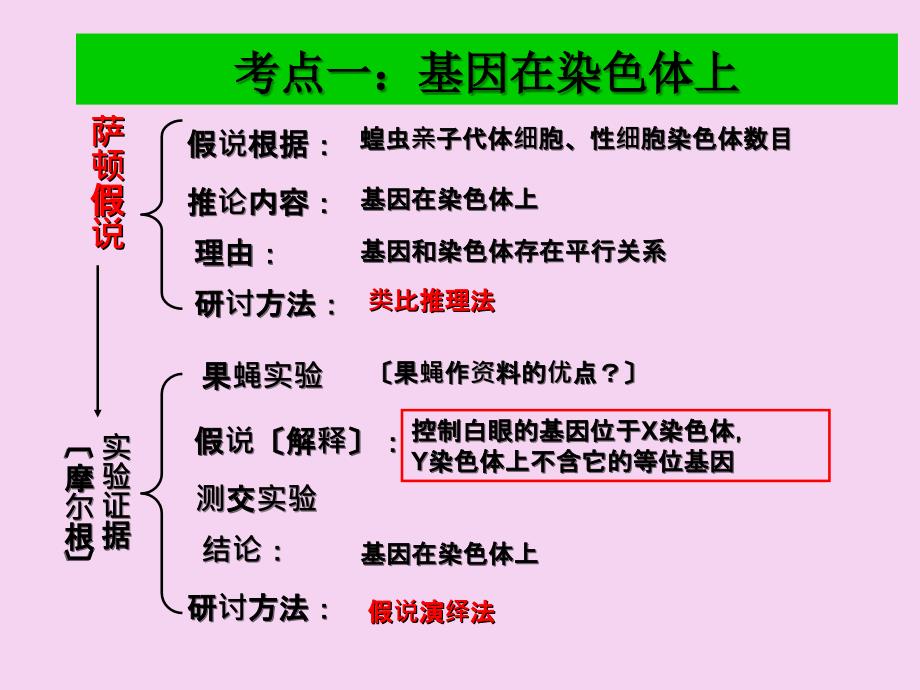 基因在染色体上伴性遗传ppt课件_第2页