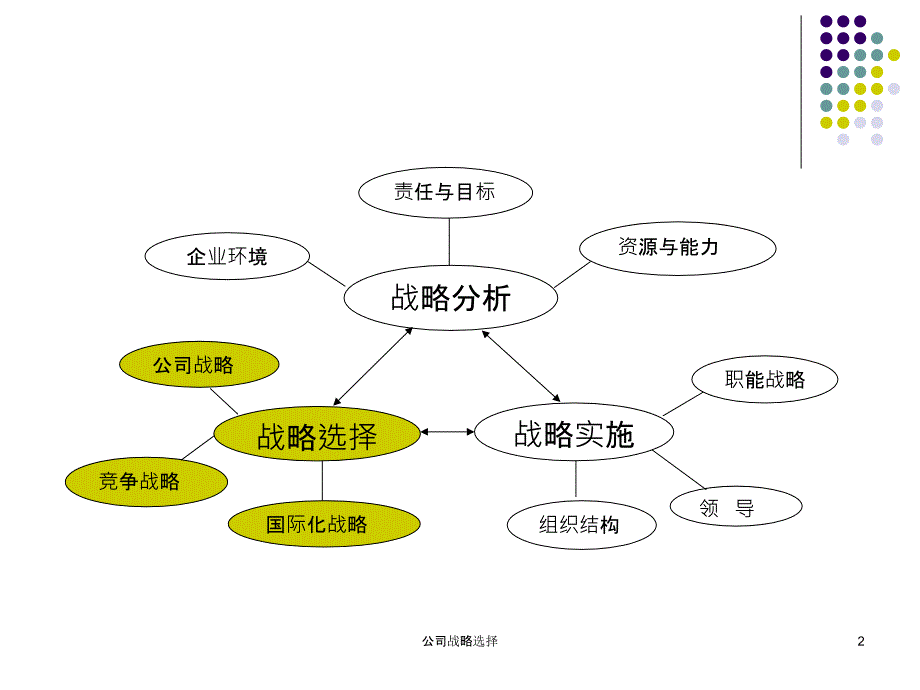 公司战略选择课件_第2页