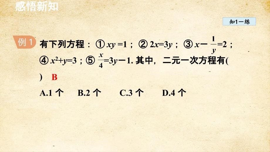 8-1二元一次方程组 课件 人教版七年级数学下册_第5页