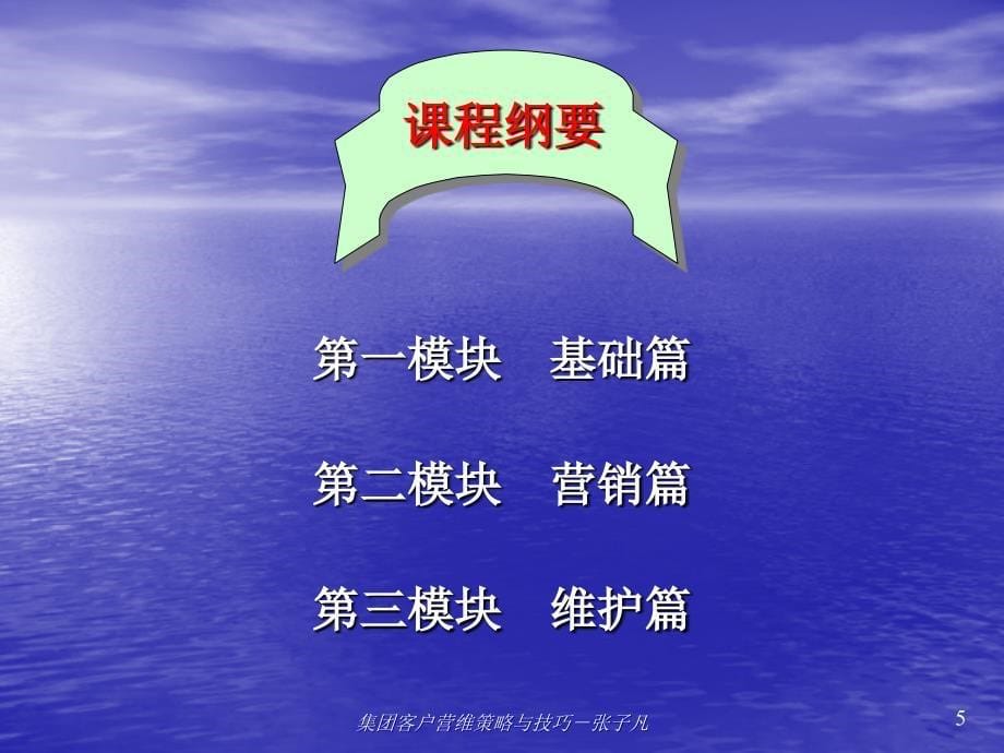 集团客户营维策略与技巧张子凡课件_第5页