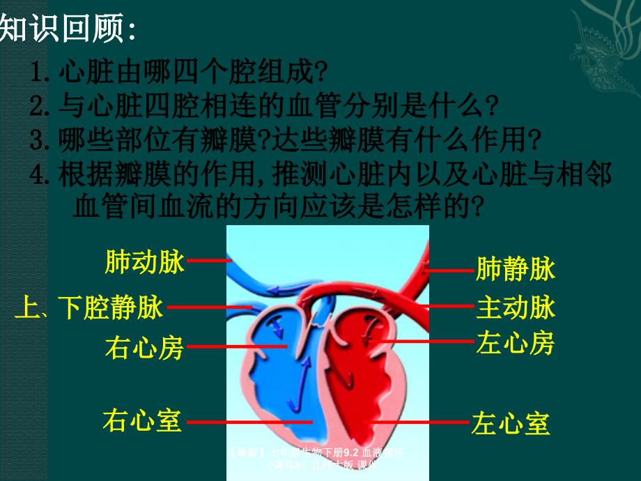 最新七年级生物下册9.2血液循环课件8北师大版课件_第3页