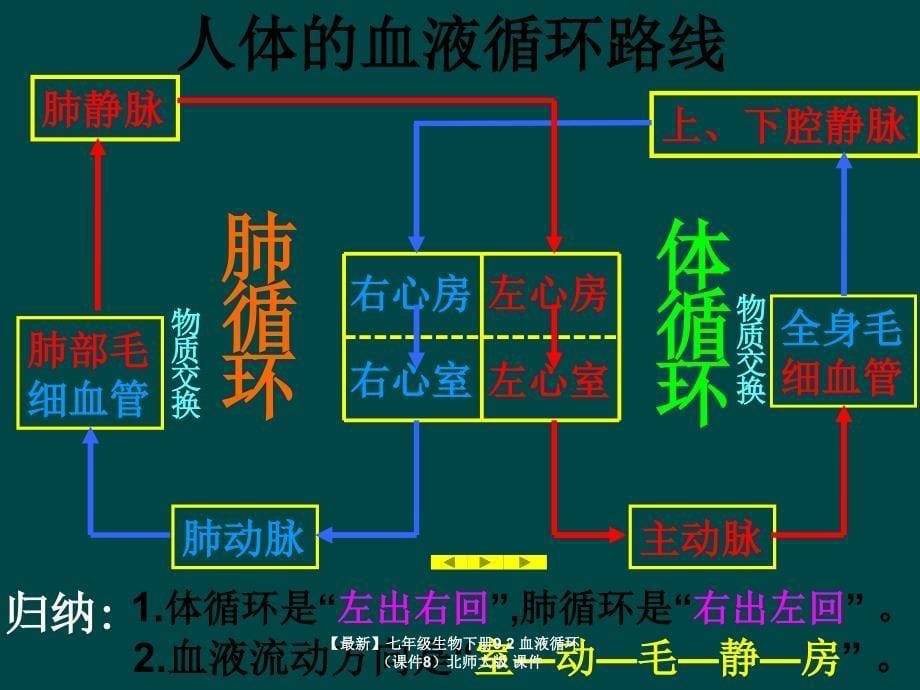 最新七年级生物下册9.2血液循环课件8北师大版课件_第5页