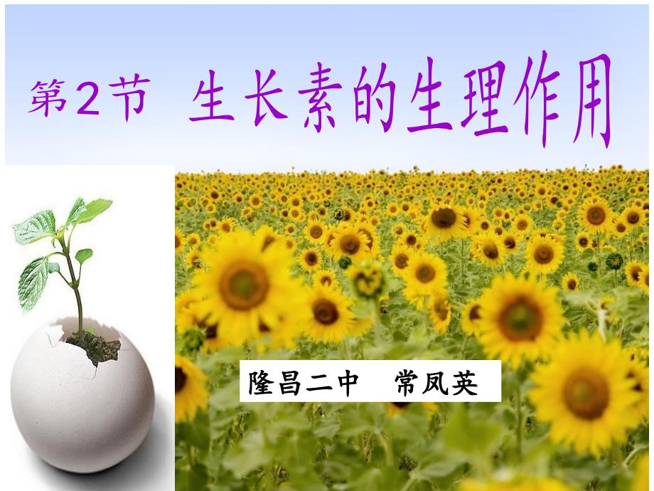 植物生长素的发现课件_第1页