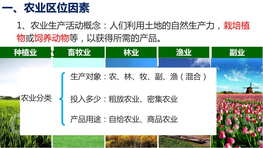 【课件】农业区位因素 2023-2024学年高一地理人教版（2019）必修第二册_第3页