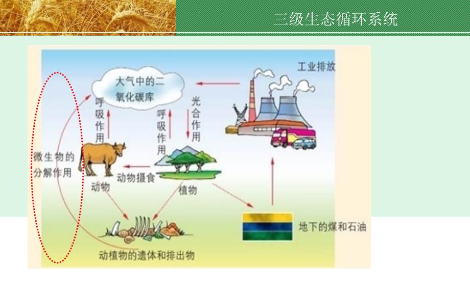 生物菌剂生产工艺流程_第2页