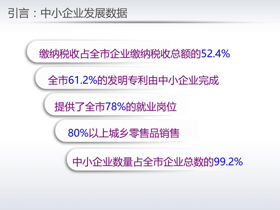 担保系列讲义：当前形势下担保机构发展模式研究_第2页