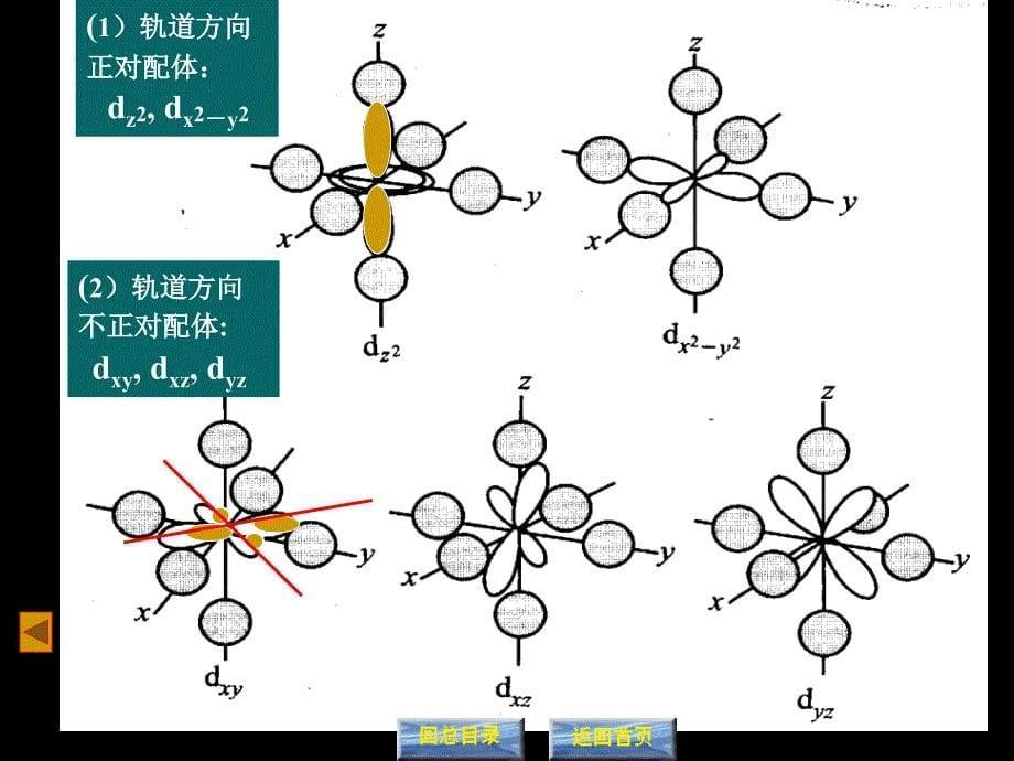 十章配位平衡与配位滴定法_第5页