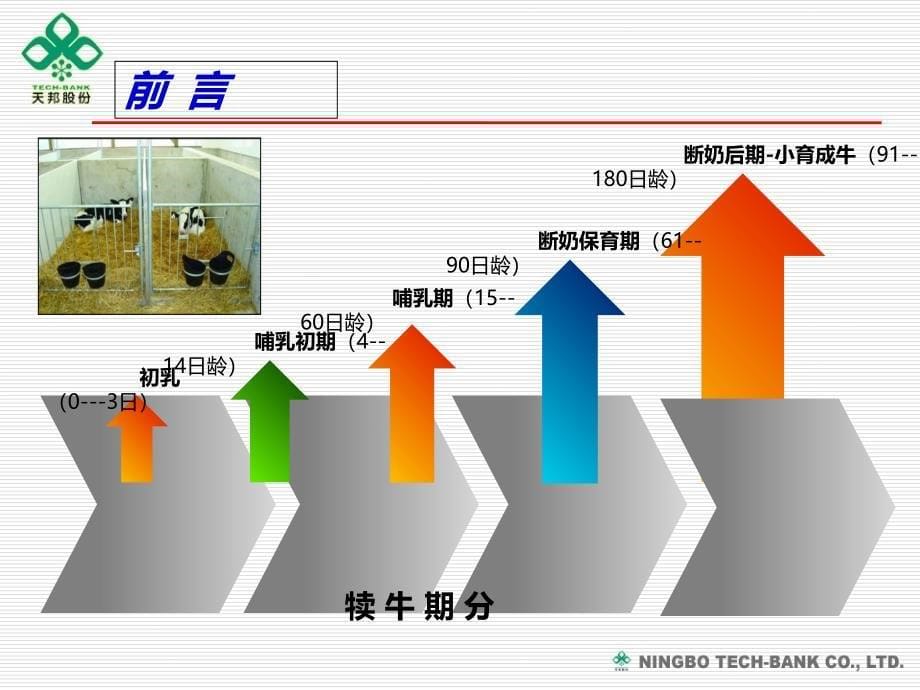 犊牛的饲养管理ppt课件_第5页