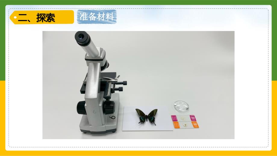 3-观察身边微小的物体 教科版科学六年级上册_第3页