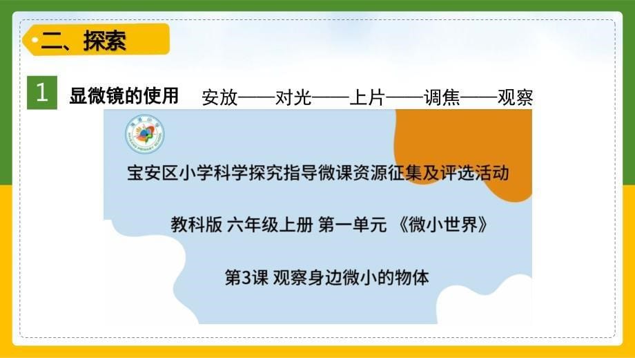 3-观察身边微小的物体 教科版科学六年级上册_第5页