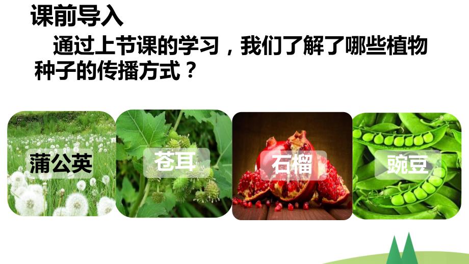 统编版二年级上语文3《植物妈妈有办法》第2课时优质课课堂教学课件_第2页