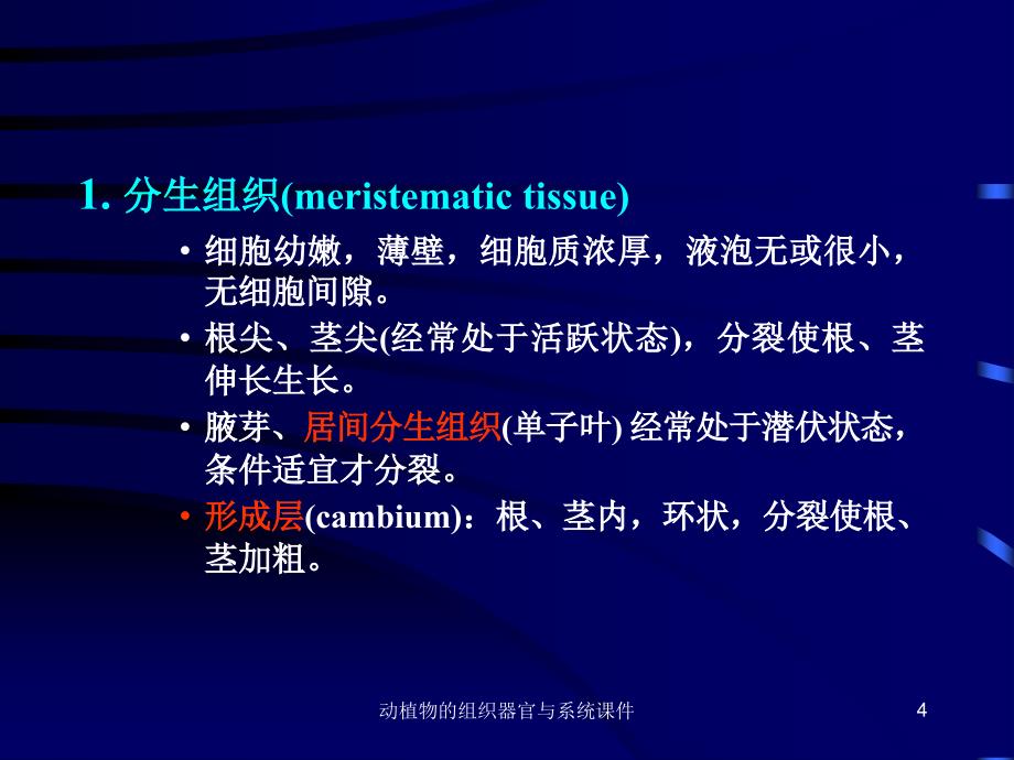 动植物的组织器官与系统课件_第4页