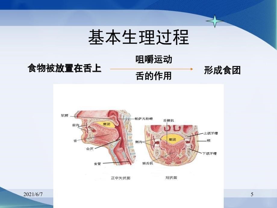 健康评估3.老年人吞咽困难的评估及管理-50P_第5页