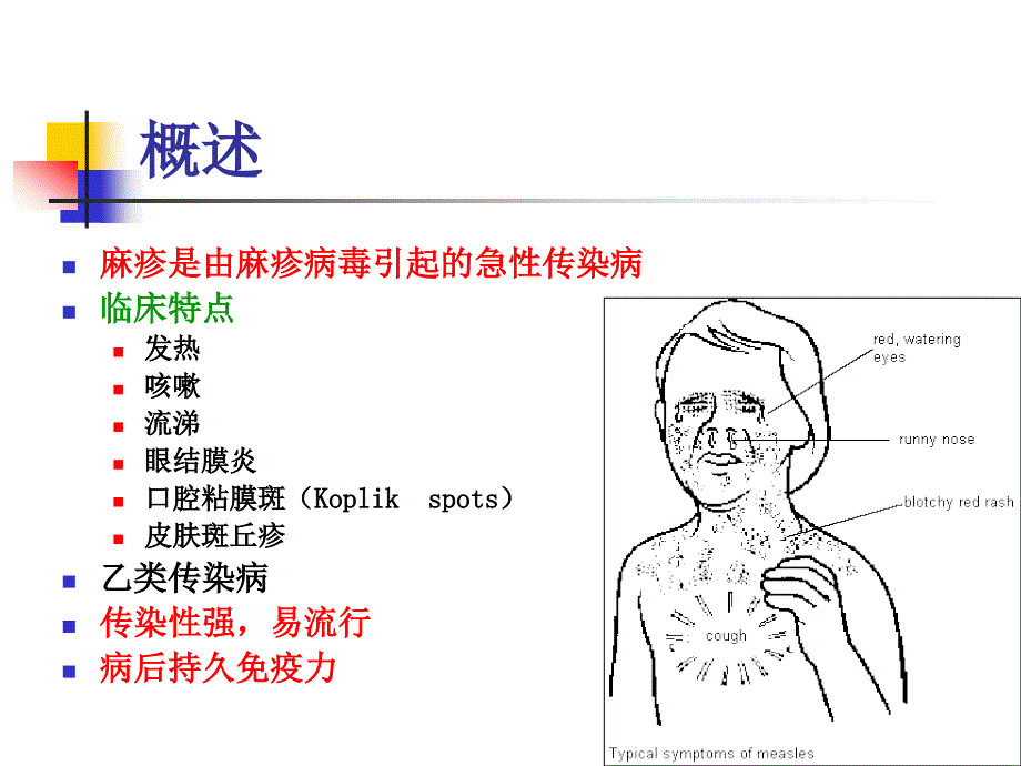 《麻疹本科护理》PPT课件_第2页