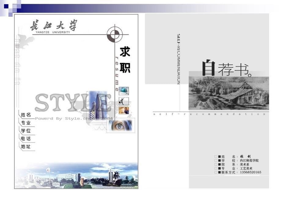 专题求职材料常见问题分析_第5页