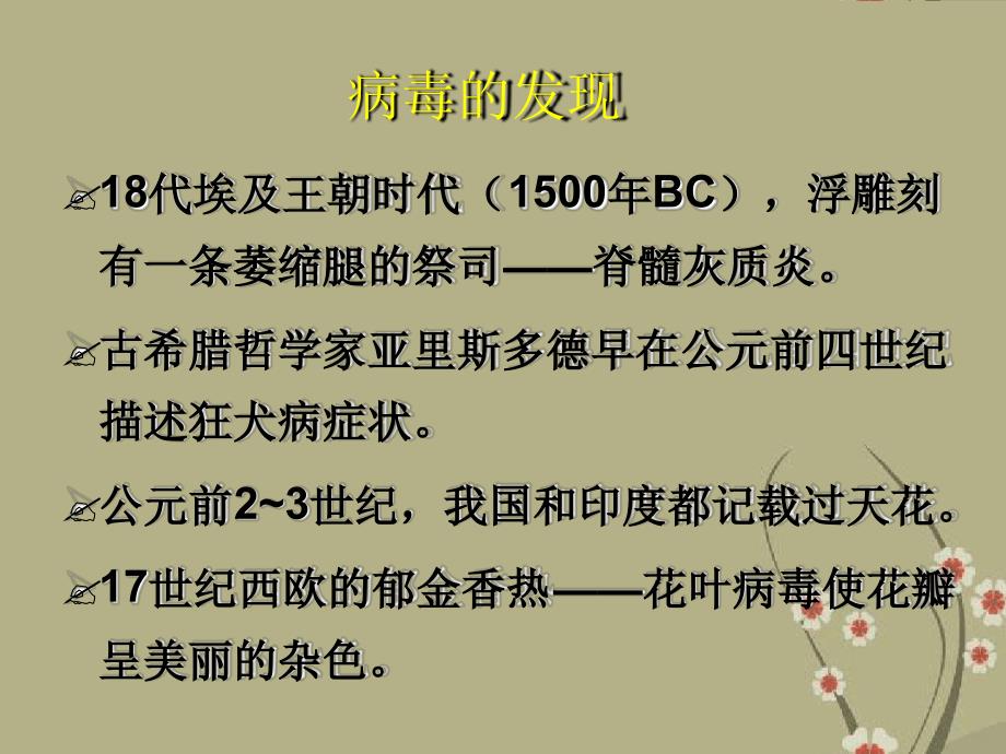 六年级科学上册第一单元1病毒课件5青岛版_第4页