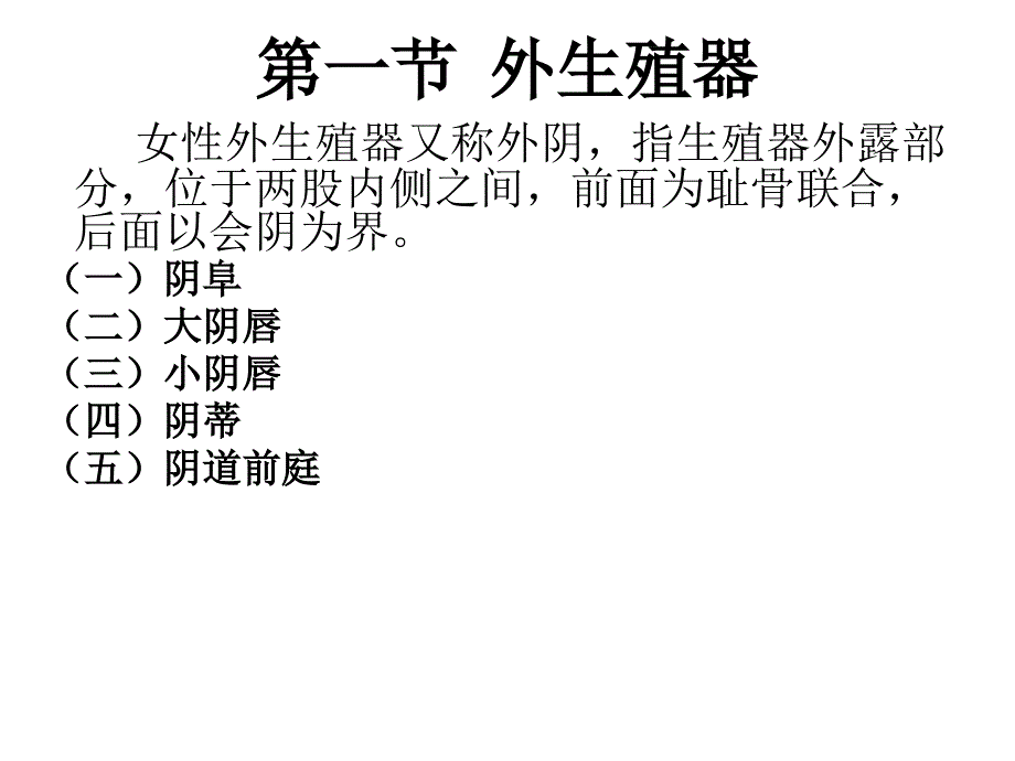 女性生殖系统图解_第4页