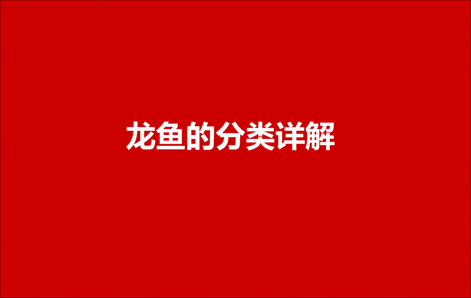龙鱼分类详解_第1页