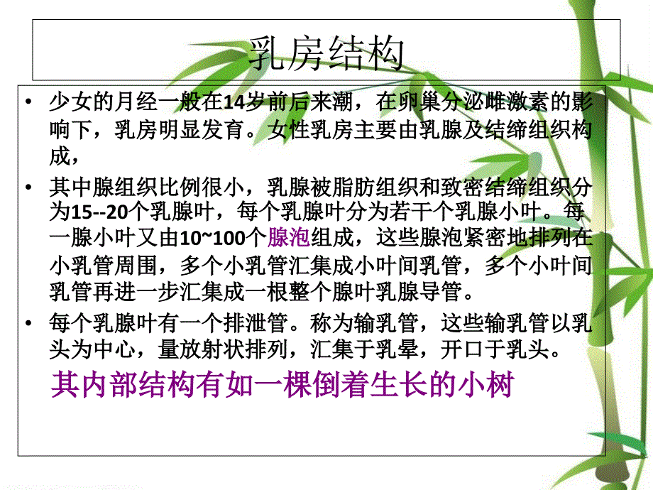 最新：女性保养胸和卵巢文档资料_第3页