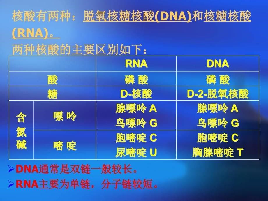 单元三：遗传物质的分子基础_第5页