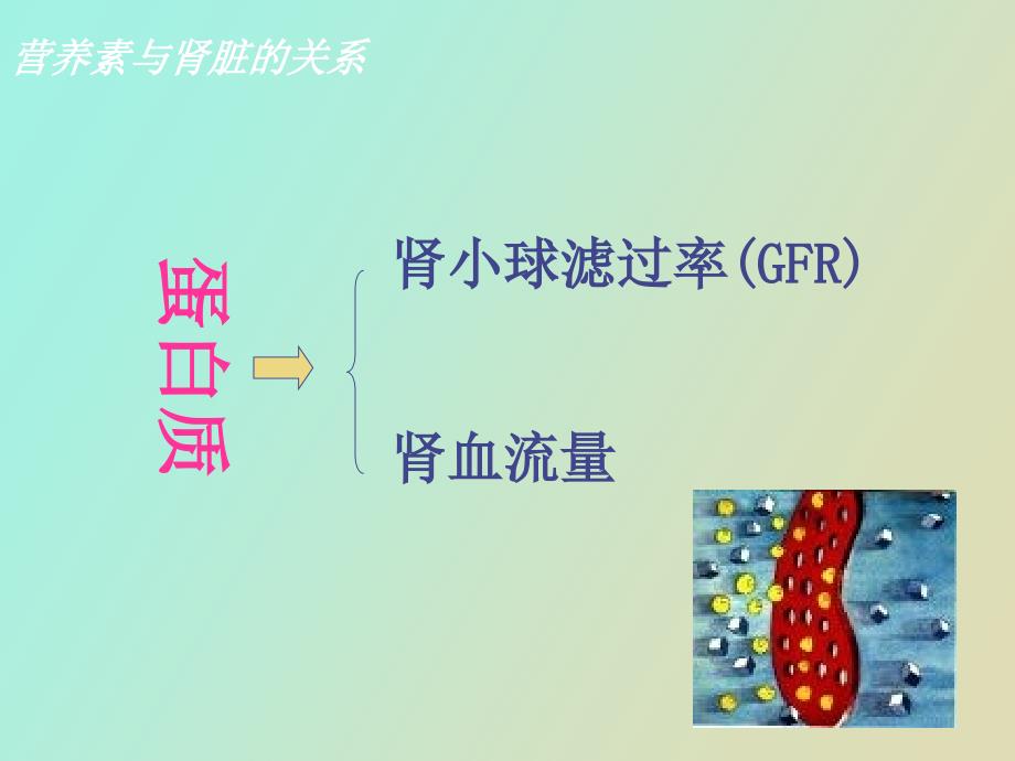 临床营养学肾脏疾病营养_第4页