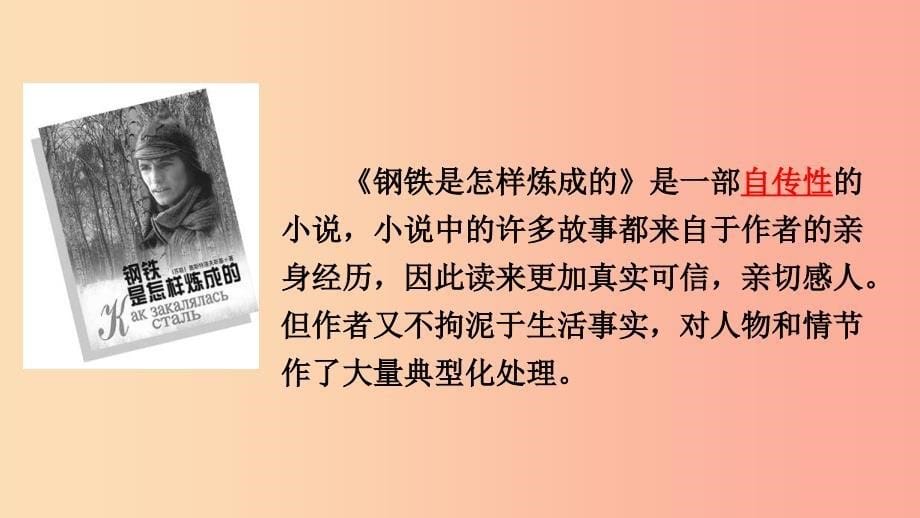 2019年春八年级语文下册 第六单元 名著导读《钢铁是怎样炼成的》摘抄和做笔记课件 新人教版.ppt_第5页