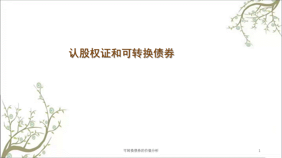 可转换债券的价值分析课件_第1页