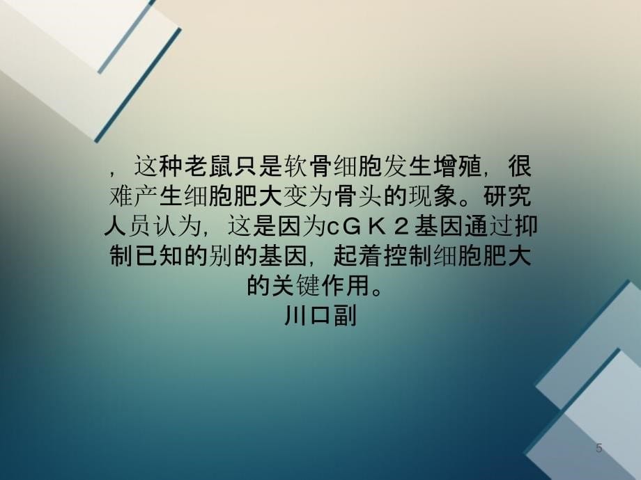 日本发现控制老鼠身长和骨折痊愈的基因_第5页