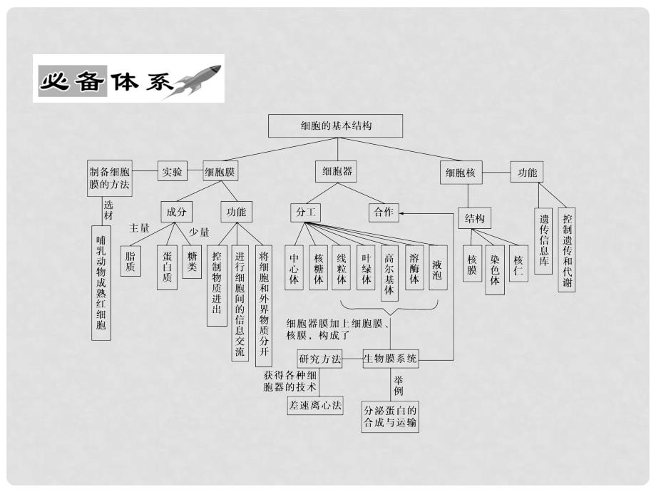 高中生物学业水平考试（宏观巨视镜+考点显微镜+高校达标练）第三章 第一讲 生物膜系统的结构和功能及细胞核的结构和功能课件_第4页