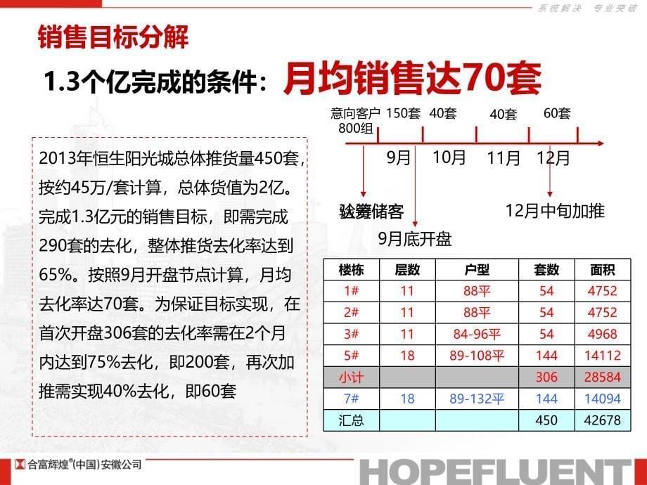 安徽当涂恒生阳光城营销方案69页_第5页