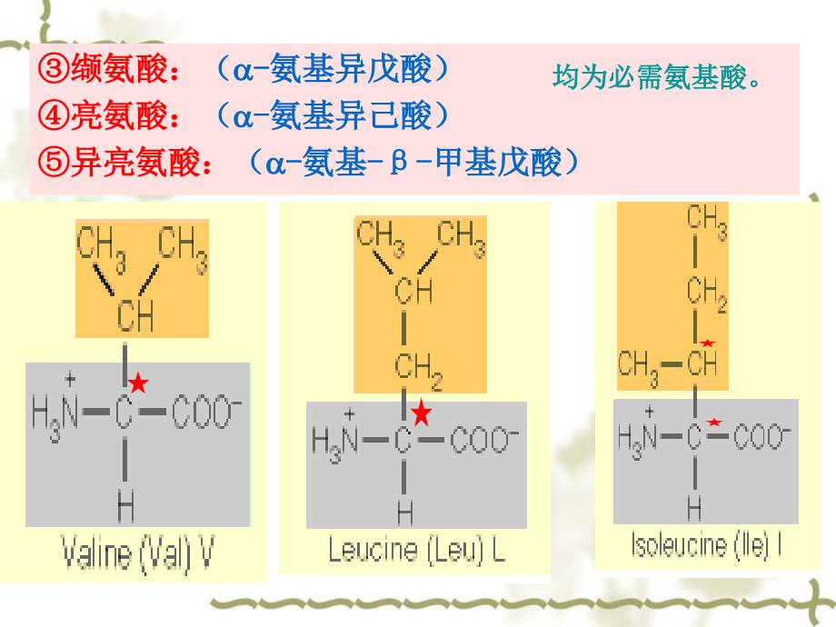 蛋白质化学第二节复习_第4页