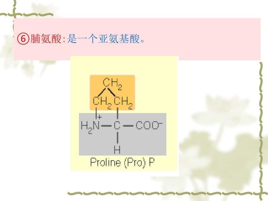 蛋白质化学第二节复习_第5页