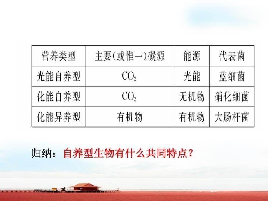 微生物的培养与应用2课时文档资料_第5页