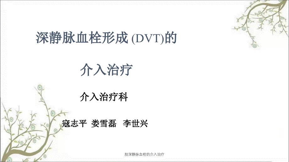 肢深静脉血栓的介入治疗_第1页