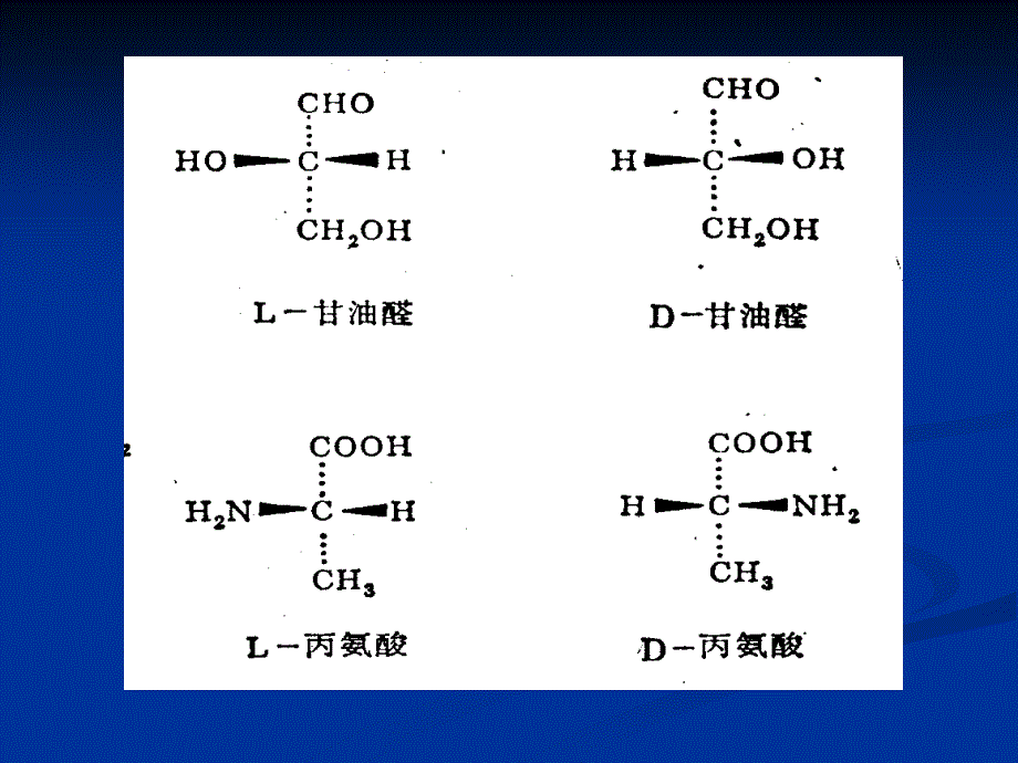 第三章氨基酸_第4页