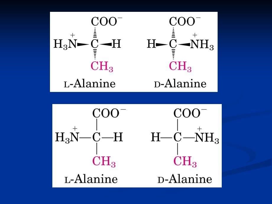 第三章氨基酸_第5页