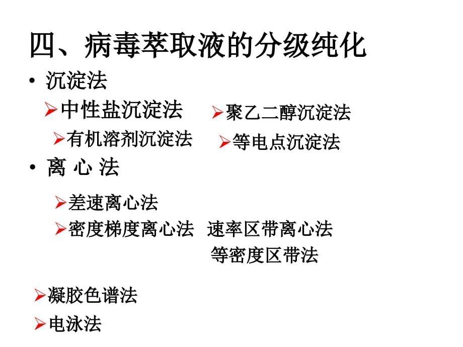 病毒的纯化和检测改课件.ppt_第5页