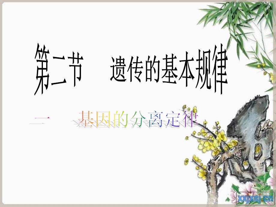 高中生物基因的分离定律甘肃平凉铁路中学龙芳_第1页