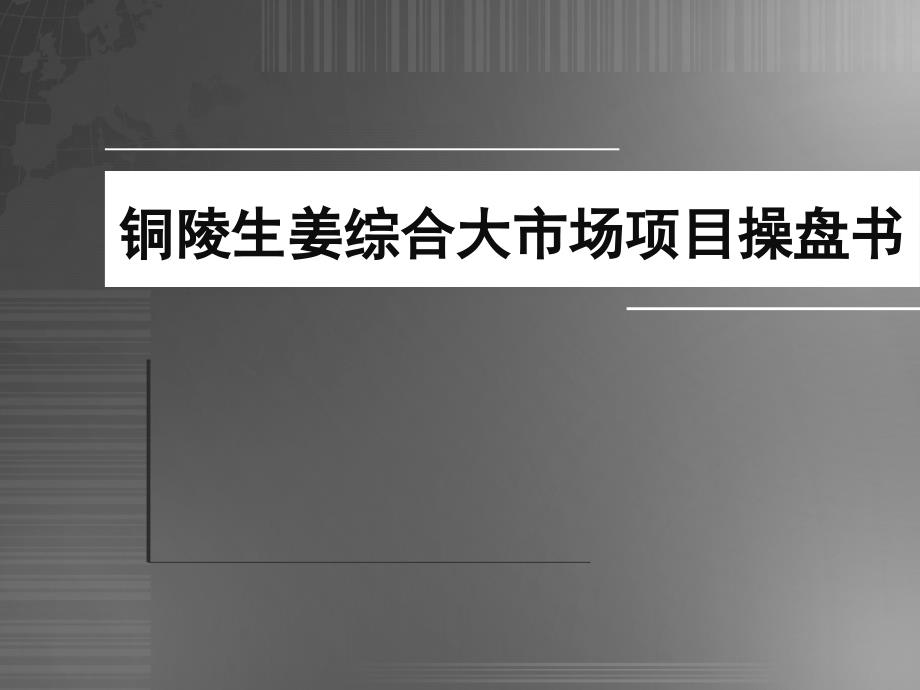 铜陵生姜综合大市场项目操盘书_第1页