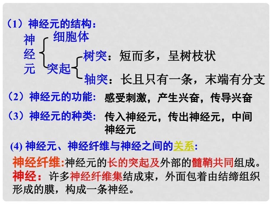 高中生物 第二章 动物和人体生命活动的调节 2.1 通过神经系统的调节课件2 新人教版必修3_第5页